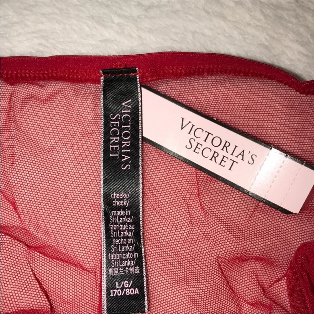 Victoria’s Secret Mesh Panty